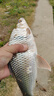 楓瀚（fenghan） 海竿套裝拋竿海桿釣魚竿套裝組合全套海釣甩桿遠(yuǎn)投竿超硬特價(jià)拋竿超輕海桿漁具裝備 買一套送一套 12軸5000輪套裝2.1米2套 曬單實(shí)拍圖