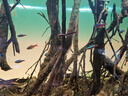 老漁匠魚(yú)缸水泵超靜音循環(huán)水泵魚(yú)池過(guò)濾泵抽水泵小型養魚(yú)專(zhuān)用水泵 新品水泵450L/H養魚(yú)專(zhuān)用 曬單實(shí)拍圖