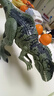 恐龍島玩具  DINOSAURS’ISLAND TOYS侏羅紀恐龍玩具模型兒童禮物南方巨獸恐龍世界男孩女孩生日禮物 【彩盒款】搖頭攻擊【南方巨獸龍】 曬單實拍圖