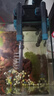 創(chuàng  )寧魚(yú)缸水族箱過(guò)濾器 外置過(guò)濾桶凈化器 養魚(yú)草缸過(guò)濾器 小型魚(yú)缸過(guò) 15L（裸桶版，無(wú)配件）100-120cm魚(yú)缸 曬單實(shí)拍圖