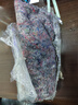 通沭吉利紅室內外盆栽花卉綠植桌面四季花卉 吉利紅+早安盆源頭直發(fā) 曬單實(shí)拍圖