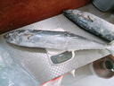 漁游記（YUYOUJI） 鲅魚馬鮫魚鮮活海捕冷凍海鮮水產(chǎn)馬鮫魚新鮮青島大鲅魚 2斤/條*2條 曬單實(shí)拍圖