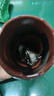 華昶紫砂內(nèi)膽保溫杯男士款高檔商務(wù)紀(jì)念禮品泡茶杯送父親老師水杯定制 鏡面磨砂黑直杯（皮盒裝）320ml 曬單實拍圖