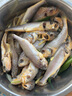 淡水新鮮刀魚(yú)鳳尾魚(yú)毛刀魚(yú)酒店飯店油炸油煎清蒸 2斤裝 微山湖淡水毛刀魚(yú)（去內臟）20% 曬單實(shí)拍圖