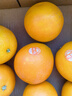 褚橙2025正品褚橙10斤精品禮盒裝當季勵志橙冰糖橙子云南哀牢山 珍品果XXL褚橙 5KG 曬單實(shí)拍圖