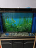 金利佳（Jeneca） 魚缸專用背景紙水族箱高清背景畫龜缸背景圖飼養(yǎng)缸貼紙壁紙壁畫 80高102長（瀏覽詳情選款式） 曬單實(shí)拍圖