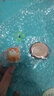 木雕小橘貓擺件手工藝品可愛(ài)的貓貓萌寵可愛(ài)手作造景貓咪桌面裝飾 小橘貓+底座 曬單實(shí)拍圖
