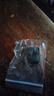 喜贊博士100角磨機碳刷100碳刷 磨光機碳刷電機專(zhuān)用碳刷電動(dòng)工具碳刷 100角磨機碳刷【1對】 曬單實(shí)拍圖