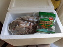 伊聚德寧夏鹽池灘羊肉生鮮肚包肉新鮮熟羊雜羊毛肚羊肚整塊羊肝食材清真 鹽池灘羊 整塊羊肚2斤 曬單實(shí)拍圖