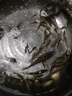谷麥窩料 谷麥釣餌 馬瘋窩魚餌特制谷麥500g野釣湖庫釣餌鯽魚鯉A 馬瘋窩谷麥(1袋) 曬單實拍圖