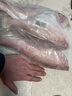 棠鮮生三去耗兒魚新鮮冷凍扒皮魚剝皮馬面魚無頭魚玻璃魚海鮮水產(chǎn) 耗兒魚5斤裝（5-6兩/條） 曬單實(shí)拍圖