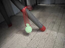 驅(qū)鼠防鼠神器一鍋端汽車室內(nèi)家用藥超強(qiáng)力驅(qū)蟲鼠特效藥驅(qū)避丸神器 1袋裝【10?！?曬單實(shí)拍圖