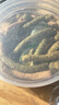 碧甜Sweet bi 荷蘭豬豚鼠龍貓兔子通用-蘇絲功能型營(yíng)養(yǎng)補(bǔ)充零食 功能型零食300G-豚鼠龍貓兔子 曬單實(shí)拍圖