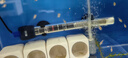 YEE不銹鋼加熱棒防爆自動(dòng)恒溫水族箱加熱器魚(yú)缸小型烏龜缸加溫棒 100W【特硬石英款】適合30-40cm魚(yú)缸 曬單實(shí)拍圖