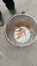 彌翠園紅鯉魚(yú)活體魚(yú)苗淡水養殖食用冷水觀(guān)賞魚(yú)錦鯉興國紅鯉魚(yú)魚(yú)批發(fā) 大紅鯉魚(yú)苗10-12厘米5條【包活到家】 曬單實(shí)拍圖