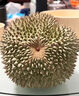 山姆大叔 馬來(lái)西亞黑刺榴蓮D200【JD直發(fā)-多地隔日達】液氮年貨水果禮盒 【甄選黑刺】2.5-3.0斤-保4房 16年選果師傅+精挑好果型 曬單實(shí)拍圖
