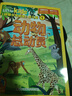 動物總動員環(huán)球少年地理幼兒版2025年10月起訂閱 1年共12期 6-12歲兒童科普百科期刊 雜志鋪雜志訂閱 幼兒自然科普刊啟蒙故事書美國國家地理little kids版權(quán)合作自然探秘地理知識期刊 曬單實拍圖