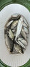 環(huán)盛溪流活魚桶帶增氧泵一體成型硬殼裝魚桶多功能魚箱馬口路亞釣魚桶 椰圓活魚桶【小號(hào)】+單孔增氧泵 曬單實(shí)拍圖