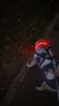 家有一寵狗狗項(xiàng)圈脖圈頸圈夜間發(fā)光防丟失遛狗夜光燈usb充電寵物用品 曬單實(shí)拍圖