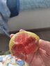 藍易脆(認準廣西產)廣西新鮮低糖紅心軟心番石榴軟香雞屎果巴樂水果 紅心5斤老樹果 曬單實拍圖