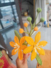 澳顏萊DIY通用2號膠包綠色花桿仿真花鐵絲扭扭棒手工毛線(xiàn)花玫瑰花插花桿 【全包花桿50根+4卷綠膠帶】 曬單實(shí)拍圖
