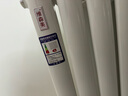 維森美取暖器/電暖氣/電暖器/加水暖氣片家用水暖注水節能省電加熱器歐式快熱爐掛墻電暖氣 24柱智能遙控款【30-40平】 曬單實(shí)拍圖