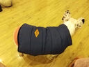 DADAGOU法國(guó)斗牛犬專用棉衣服春秋冬法斗英斗八哥沙皮兩腳馬甲加厚保暖 【藍(lán)色】經(jīng)典斗牛棉馬甲 XXL 參考26-32斤 胸圍68 頸圍48 曬單實(shí)拍圖