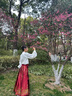 羅蒙漢服女童古裝中國風馬面裙兒童演出服 焦紅織金馬面裙兩件套 160 曬單實拍圖