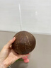 優(yōu)味集海南黑椰皇椰子蛋【JD順豐速發(fā)】孕婦補(bǔ)羊水果奶香老椰汁青肉 1粒裝(小試嘗鮮裝) 商超A+級(jí)大果800g+ 曬單實(shí)拍圖