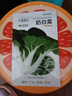 種菜記春季蔬菜種子大全快菜生菜雞毛菜種籽四季南方小青菜陽(yáng)臺蔬菜孑 奶白菜種子10克 曬單實(shí)拍圖