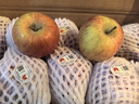 諸氏橙品正宗阿克蘇蘋(píng)果 新疆冰糖心蘋(píng)果水果整箱 新鮮時(shí)令生鮮禮盒團購 4.5-5斤嘗鮮裝【約12枚】 曬單實(shí)拍圖