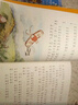 【新華正版】金波童話(huà)注音版 金波四季美文全套4冊 小學(xué)生閱讀課外書(shū)一二年級閱讀書(shū)籍精選帶拼音 長(cháng)江少年兒童出版社 金波四季童話(huà)（注音美繪版） 全4冊 花瓣兒魚(yú)等 曬單實(shí)拍圖