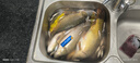 迎科新款防掛底爆炸鉤伊勢尼魚(yú)鉤套裝大彈簧暴鉤拋竿釣組漁具配件用品 6號(盒裝4副) 曬單實(shí)拍圖