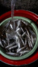 刀郎蘆葦浮漂鯽魚(yú)小扁尾浮漂醒目鯽魚(yú)漂高靈敏釣魚(yú)浮漂蘆葦輕口浮漂 A-22 1號一支 曬單實(shí)拍圖
