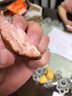 青島老火腿豬腱子肉山東大火腿腸大塊肉火腿豬肉香腸即食真空y 240g/1根【開袋即食】 曬單實(shí)拍圖