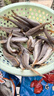 海產(chǎn)干貨拼盤小黃魚干咸魚干小黃魚干貨海魚干海鮮水產(chǎn)干貨特產(chǎn) 200克*3盒 鮸魚粒+小黃魚+咸帶魚 曬單實拍圖