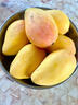 南步海南小臺農芒果 當季現摘雞蛋芒甜心小臺芒核小香甜新鮮熱帶水果 5斤 精選中果【單果70-90g】 曬單實(shí)拍圖
