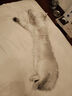 蕉內(nèi)（Bananain）熱皮302++男女同款鎖溫圓領(lǐng)套頭毛衣保暖打底長袖秋冬套頭衫新款 黑色 L 曬單實拍圖