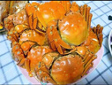 【活蟹】哆鮮園精品大閘蟹 溱湖籪蟹 新鮮活螃蟹海鮮水產(chǎn)生鮮禮品 公4兩 母3兩（5對10只） 曬單實(shí)拍圖