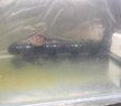 Atman魚(yú)缸加熱棒hch系列出口版魚(yú)缸加熱棒加熱管自動(dòng)恒溫防爆加溫棒 創(chuàng  )星HCH300w+護套+溫度計 出口版 曬單實(shí)拍圖