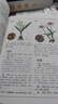 本草綱目正版李時珍原著全套4冊白話版藥草書草本綱目 中醫(yī)養(yǎng)生入門書籍大全黃帝內(nèi)經(jīng)中藥材書籍中草藥圖解大全書中醫(yī)書籍大全 曬單實(shí)拍圖