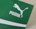 彪馬（PUMA）【德訓(xùn)鞋】經(jīng)典復(fù)古T頭鞋男女透氣休閑板鞋VALDO386343 純白色-深綠色-01 44 曬單實拍圖