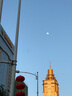 toutou女包2025復(fù)古仿植鞣托特包大容量托特包七夕禮物單肩腋下包掛件版 曬單實拍圖