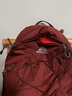 GREGORY格里高利 ARRIO山野系列 戶外運動旅行徒步實用雙肩背包登山包 22L-磚紅色 曬單實拍圖