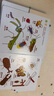 【中英雙語(yǔ)|防水可咬】0-4歲幼兒認知小百科 點(diǎn)讀版 全套3冊 英語(yǔ)啟蒙早教撕不爛繪本 寶寶認知啟蒙 曬單實(shí)拍圖