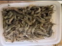 云映漁舟 微山湖淡水小河蝦（活凍）生態(tài)新鮮青蝦草蝦醉蝦鮮活清水小明蝦 大號（6-9cm） 1000g(凈重) 曬單實(shí)拍圖
