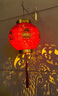 斜方閣2026新款太陽(yáng)能戶(hù)外庭院紅燈籠新年春節家用陽(yáng)臺花園裝飾福字掛燈 錦鯉送福-太陽(yáng)能圓燈籠-2個(gè)裝 曬單實(shí)拍圖