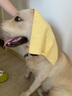 諾凡爾寵物吸水毛巾狗狗洗澡鹿皮巾超強速干大號浴巾貓咪擦干必備專(zhuān)用巾 中號袋裝【1條裝】顏色隨機 仿鹿皮 寵物專(zhuān)用 曬單實(shí)拍圖