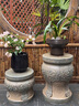 荷府家居 家居戶外庭院花園花盆底座擺件 中式盆景擺放架陽臺綠植盆栽增高花墩 青色-高款 曬單實拍圖