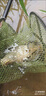 AFW進(jìn)口高碳達瓦千岡魚(yú)竿手竿超輕超硬28調19調臺釣竿鯽鯉魚(yú)竿大物竿 5.4m 4H28調+原裝竿稍+禮包 曬單實(shí)拍圖